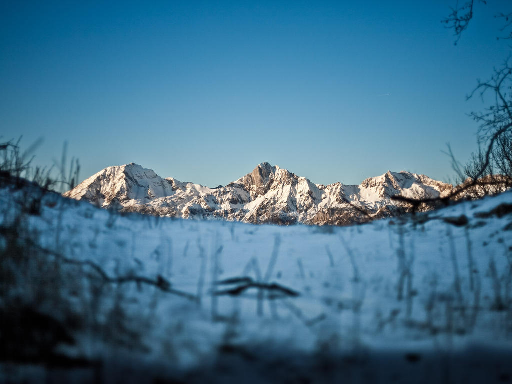 Ferienwohnungen Matzner Admont Exteriör bild